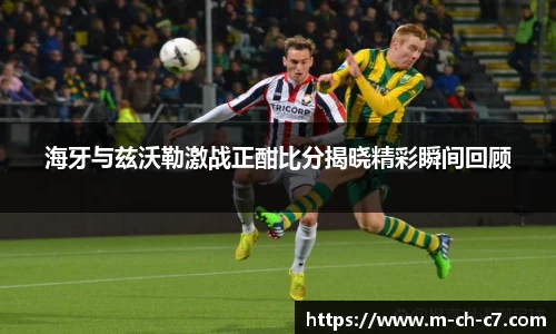 海牙与兹沃勒激战正酣比分揭晓精彩瞬间回顾