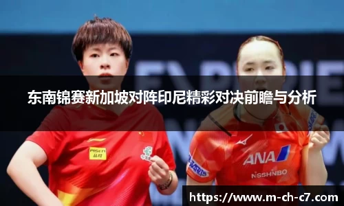 东南锦赛新加坡对阵印尼精彩对决前瞻与分析